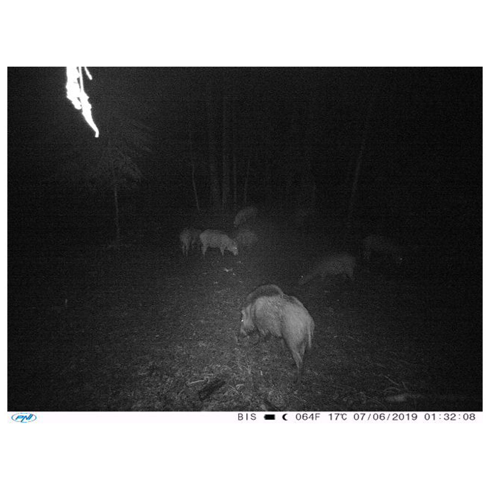 Camera vanatoare PNI Hunting 350C 12MP cu Internet 3G, SMS, transmite foto la miscare pe telefon, email, FTP, full HD 1080P, Night Vision, 58 leduri invizibile pentru animale