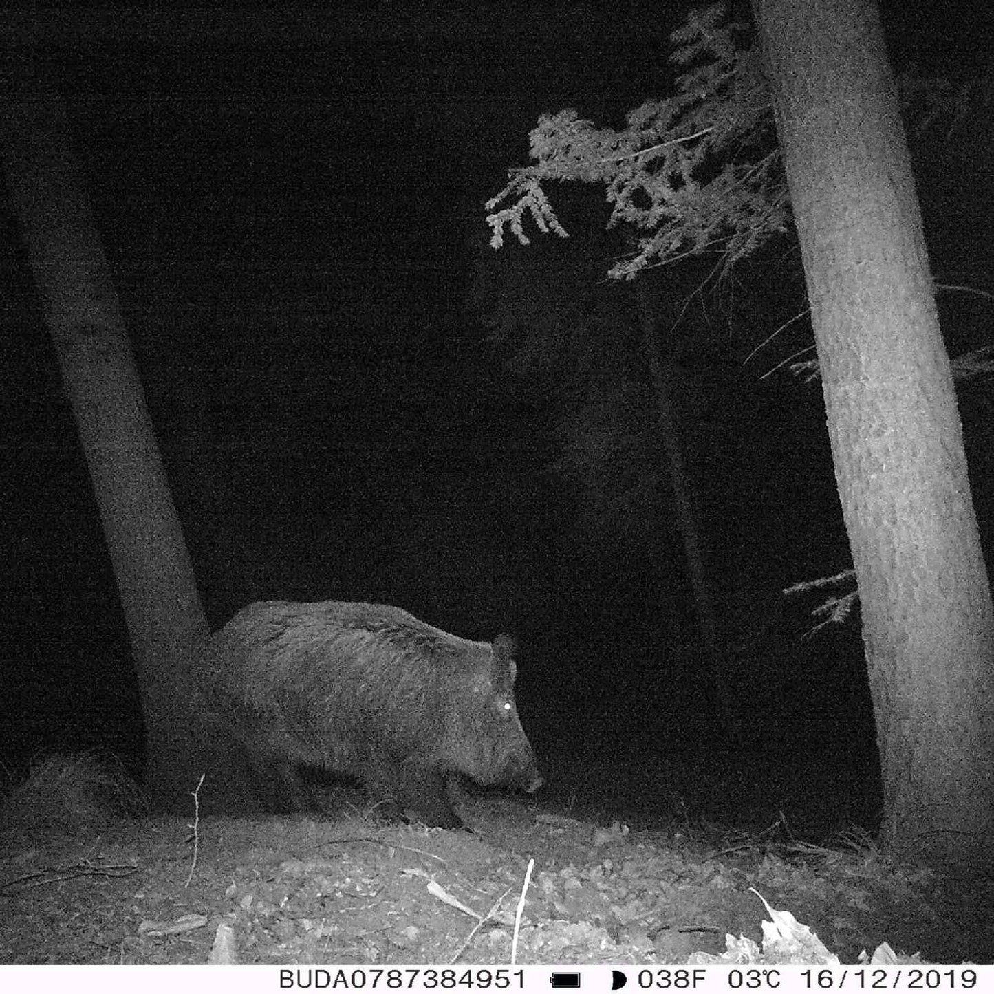 Camera vanatoare PNI Hunting 400C 12MP cu Internet 4G LTE, GPS, transmite simultan video si foto pe telefon, 4 email-uri, FTP, full HD 1080P, Night Vision, 57 LED-uri invizibile pentru animale