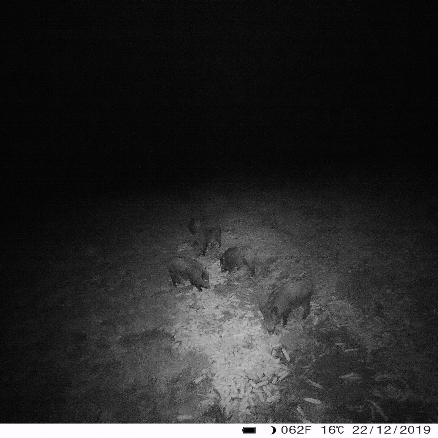 Camera vanatoare PNI Hunting 400C 12MP cu Internet 4G LTE, GPS, transmite simultan video si foto pe telefon, 4 email-uri, FTP, full HD 1080P, Night Vision, 57 LED-uri invizibile pentru animale