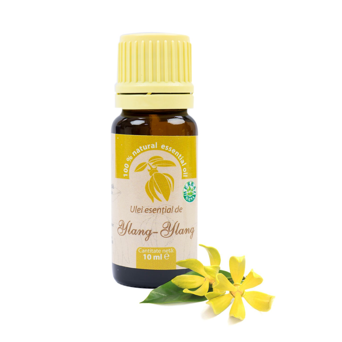 Ulei esential de Ylang-Ylang (Cananga odorata), 100% pur fara adaos, 10 ml
