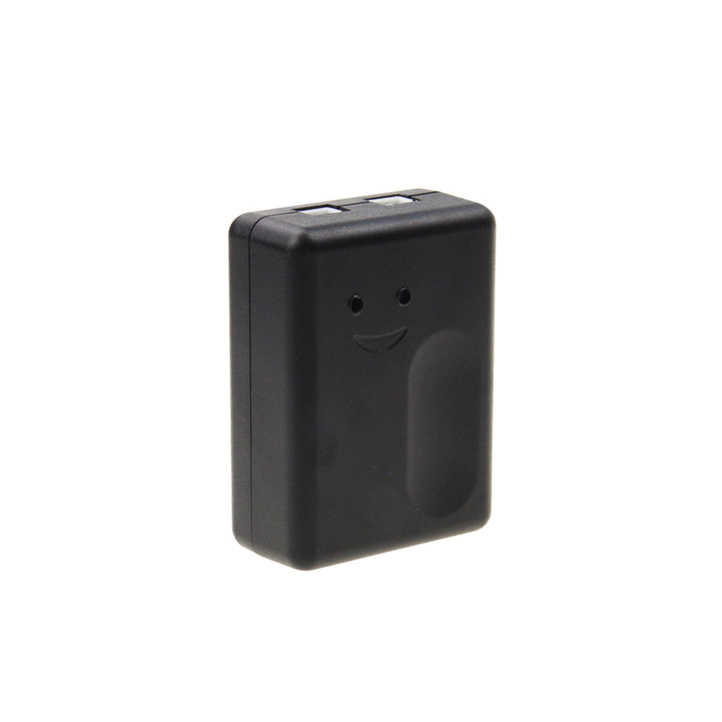 Kit automatizare prin internet cu Releu PNI SmartHome RG120 WiFi si motor deschidere poarta batanta PNI DU160