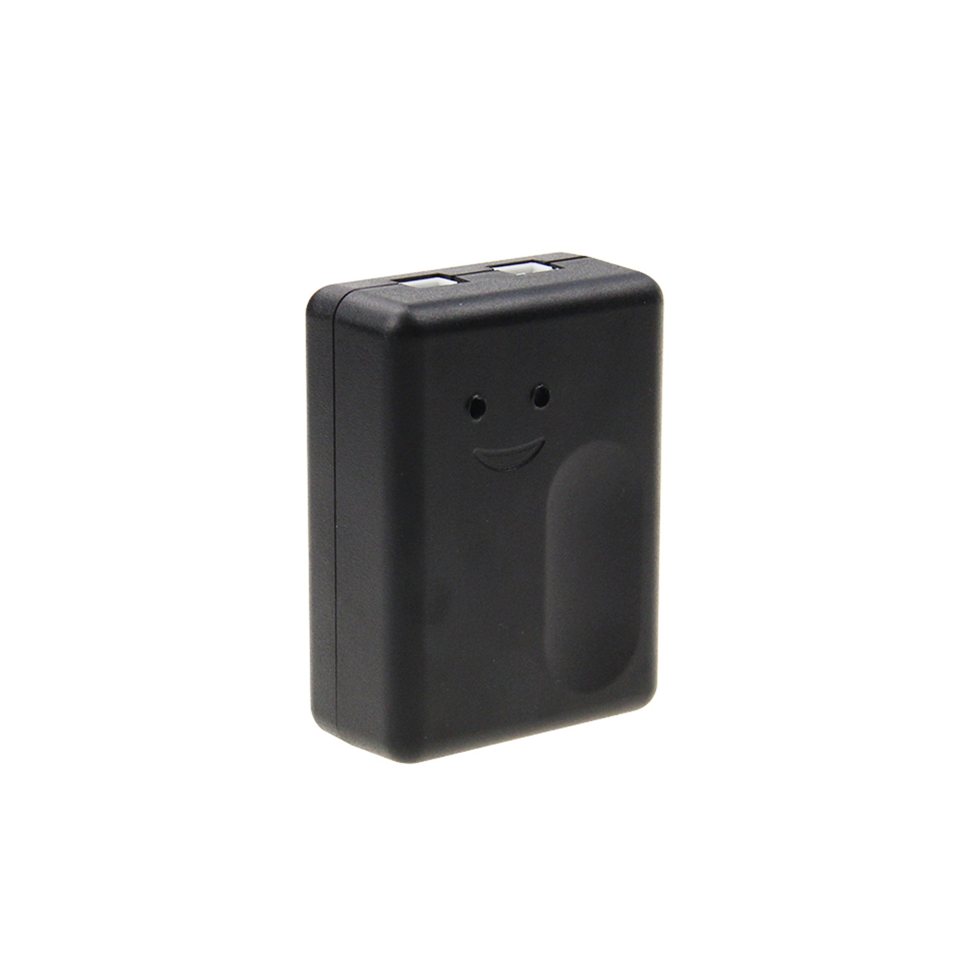 Kit automatizare prin internet cu Releu PNI SmartHome RG120 WiFi si motor deschidere poarta batanta PNI DU160