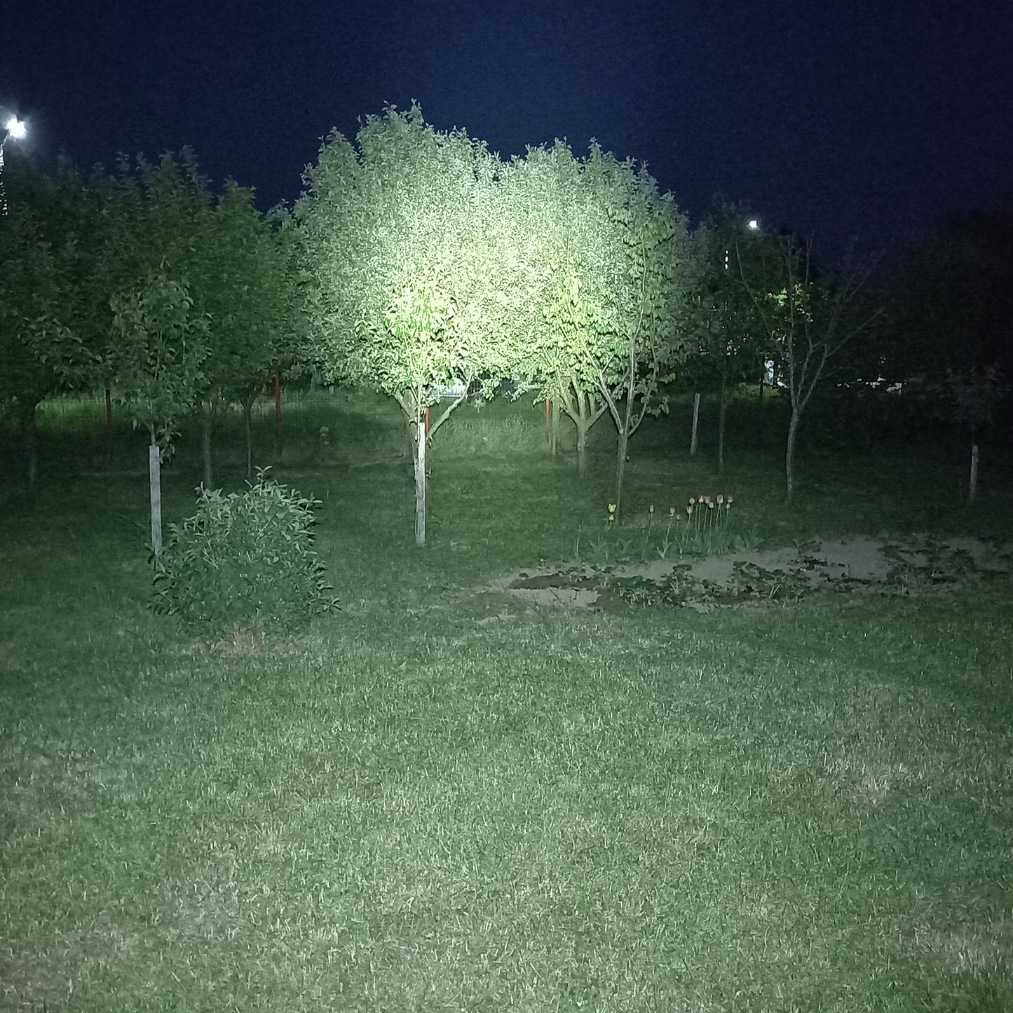 Lanterna frontala PNI Adventure F80 Dual LED, 1000 lm, 6W, 2200 mAh, IP68