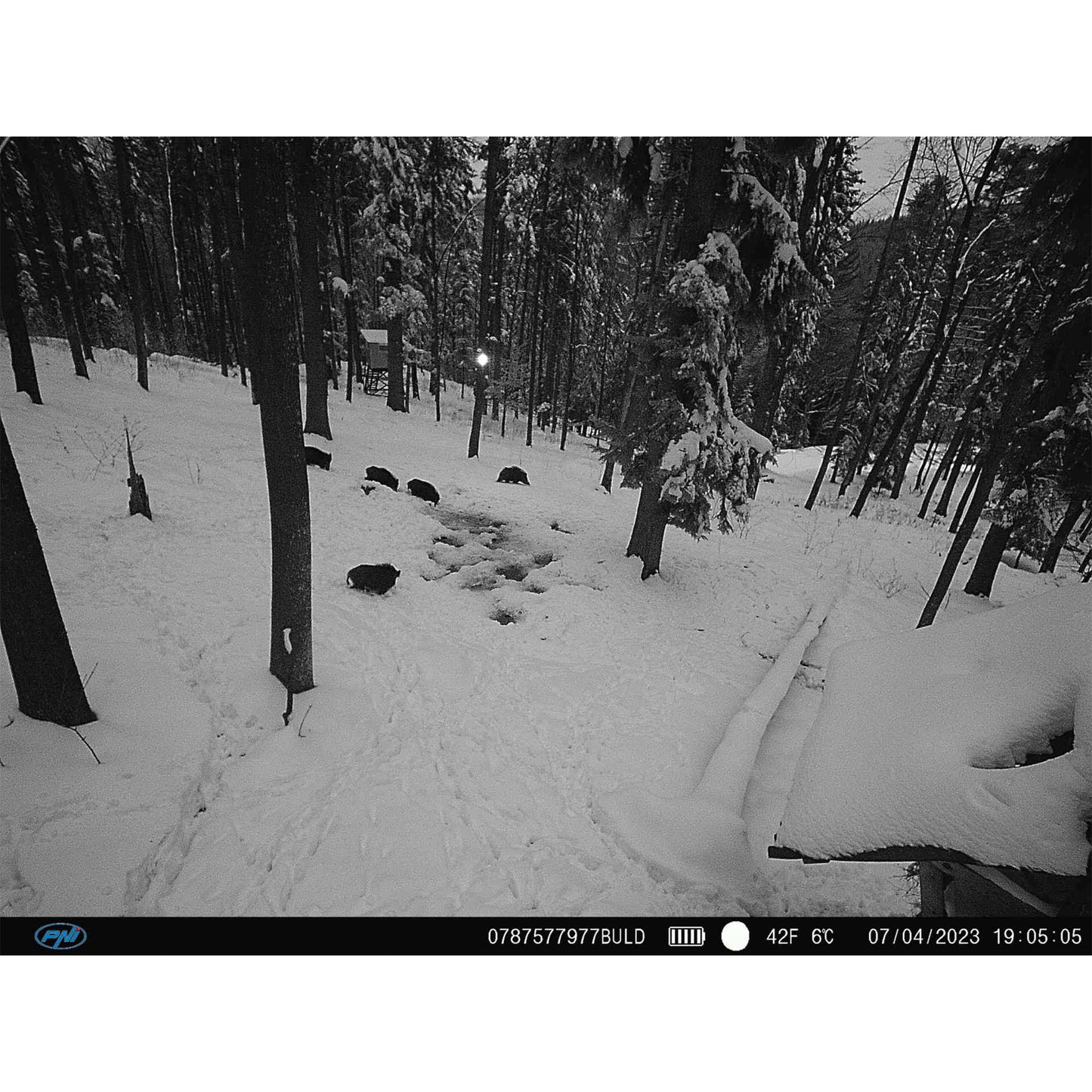 Camera vanatoare PNI Hunting 400C PRO 24MP cu Internet 4G LTE, GPS, transmite simultan video si foto pe telefon, 4 email-uri, FTP, full HD 1080P, Night Vision, 59 LED-uri invizibile pentru animale