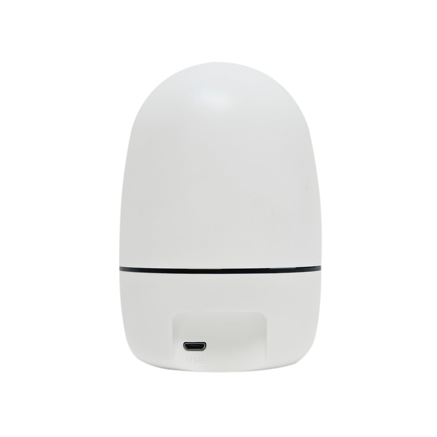 Camera supraveghere video PNI IP7717