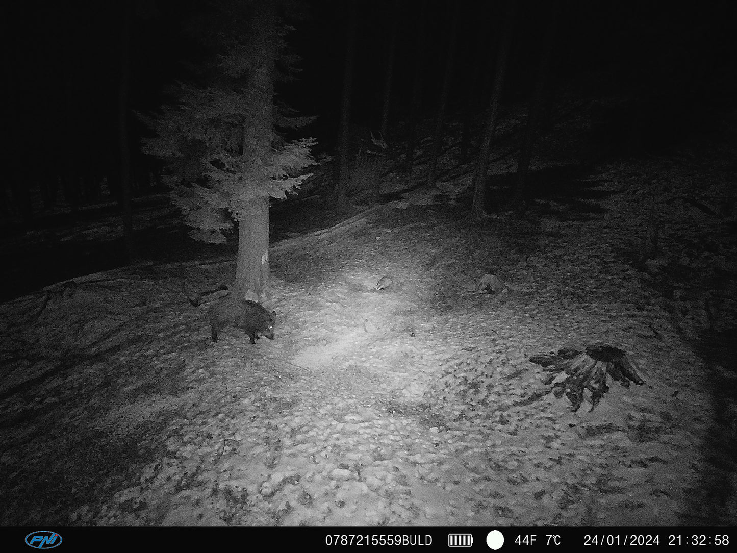 Camera vanatoare PNI Hunting 400C PRO 24MP cu Internet 4G LTE, GPS, transmite simultan video si foto pe telefon, 4 email-uri, FTP, full HD 1080P, Night Vision, 59 LED-uri invizibile pentru animale