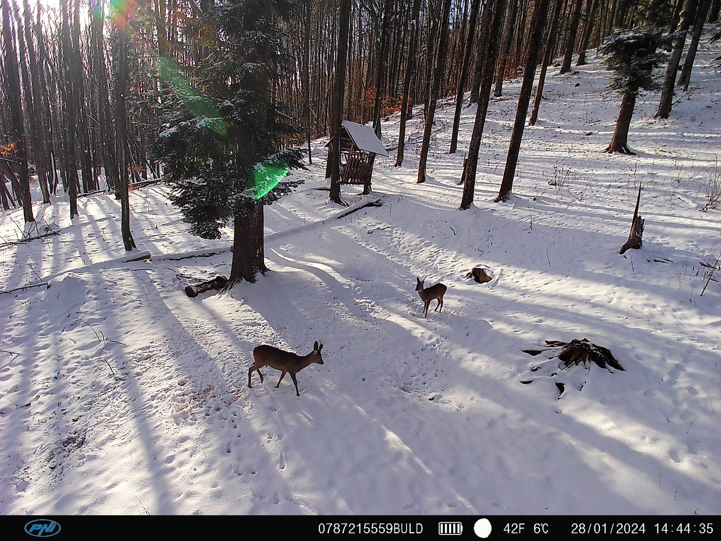 Camera vanatoare PNI Hunting 400C PRO 24MP cu Internet 4G LTE, GPS, transmite simultan video si foto pe telefon, 4 email-uri, FTP, full HD 1080P, Night Vision, 59 LED-uri invizibile pentru animale