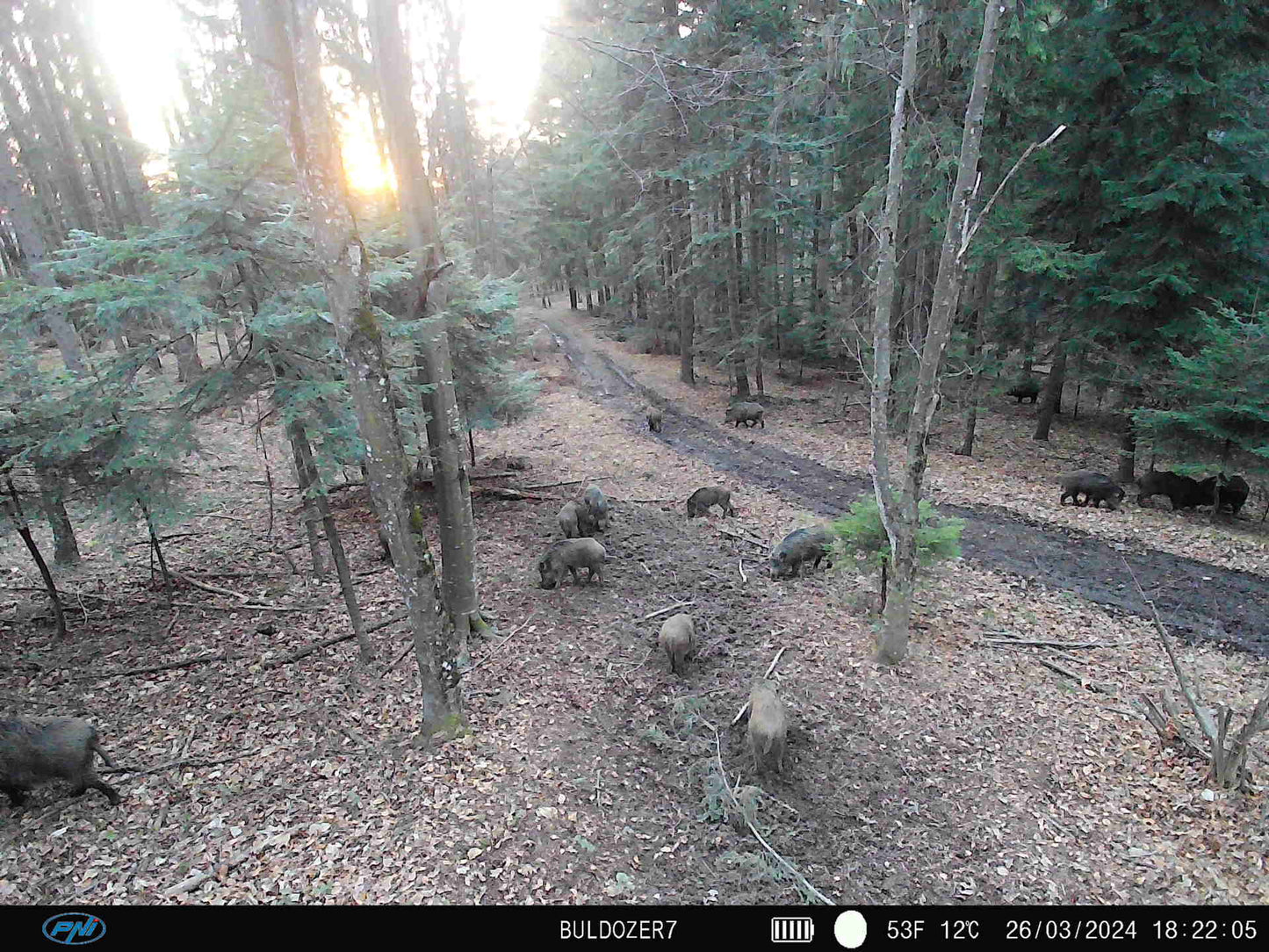 Camera vanatoare PNI Hunting 400C PRO 24MP cu Internet 4G LTE, GPS, transmite simultan video si foto pe telefon, 4 email-uri, FTP, full HD 1080P, Night Vision, 59 LED-uri invizibile pentru animale