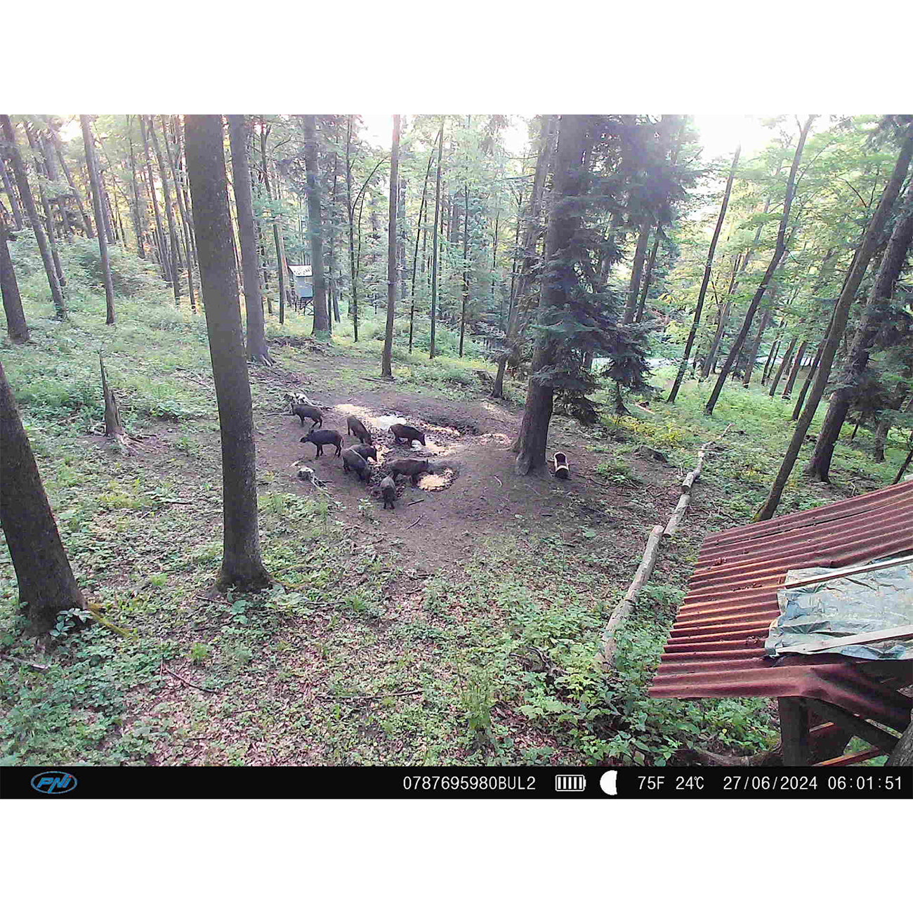 Camera vanatoare PNI Hunting 400C PRO 24MP cu Internet 4G LTE, GPS, transmite simultan video si foto pe telefon, 4 email-uri, FTP, full HD 1080P, Night Vision, 59 LED-uri invizibile pentru animale