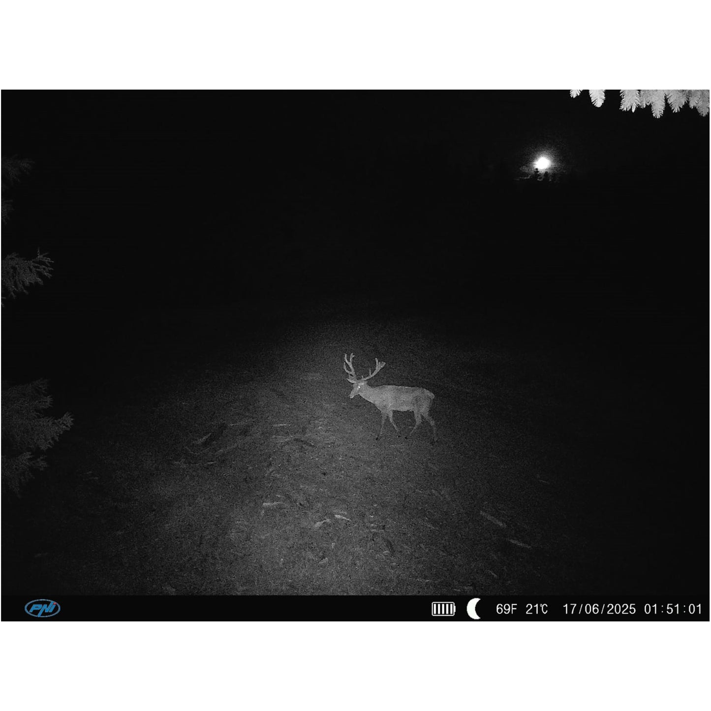 Camera vanatoare PNI Hunting 400C PRO 24MP cu Internet 4G LTE, GPS, transmite simultan video si foto pe telefon, 4 email-uri, FTP, full HD 1080P, Night Vision, 59 LED-uri invizibile pentru animale