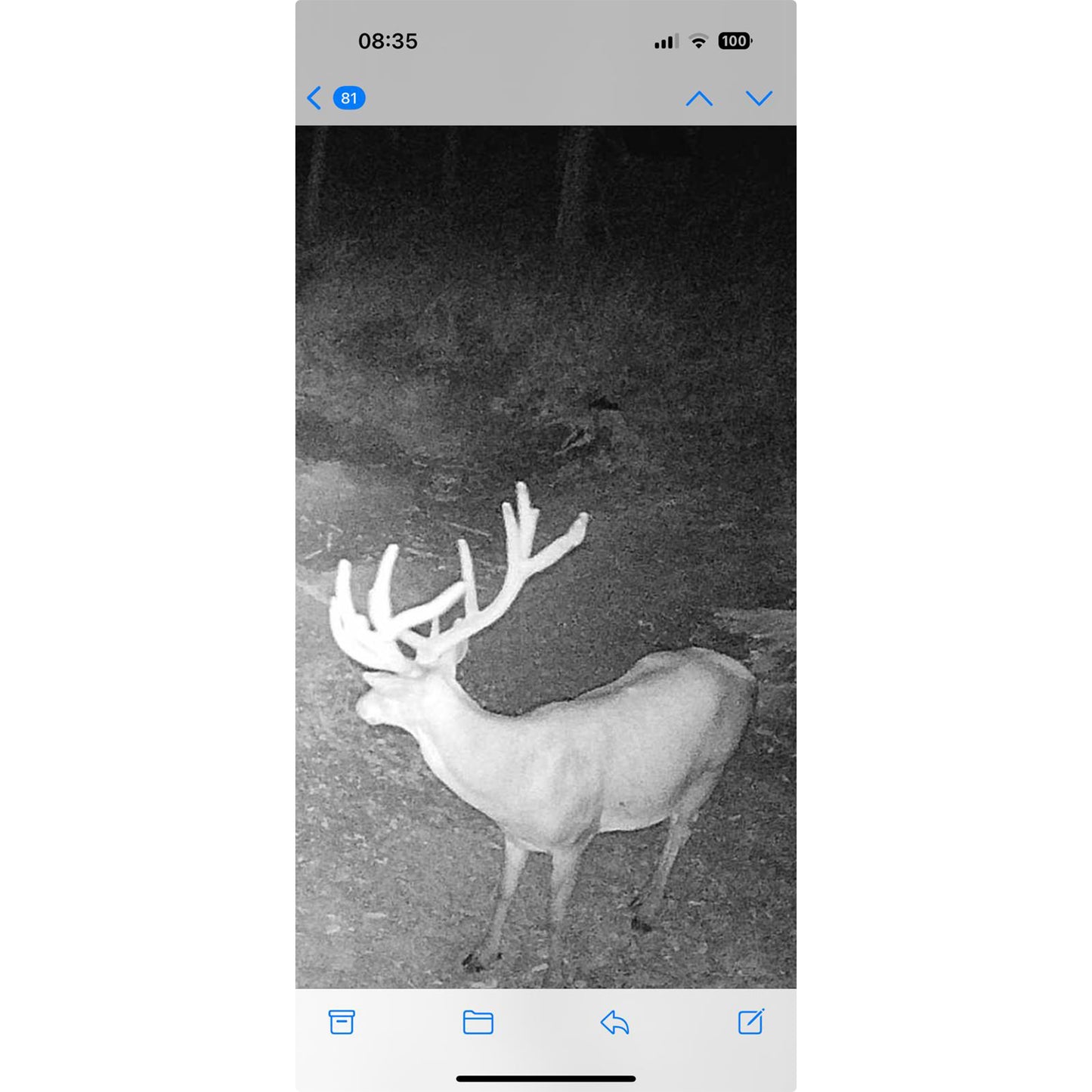 Camera vanatoare PNI Hunting 400C PRO 24MP cu Internet 4G LTE, GPS, transmite simultan video si foto pe telefon, 4 email-uri, FTP, full HD 1080P, Night Vision, 59 LED-uri invizibile pentru animale