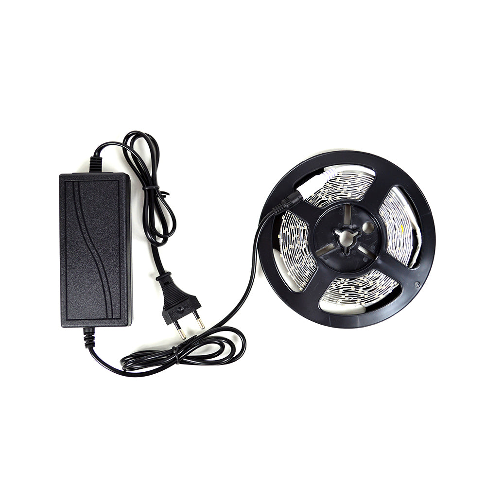 Banda LED PNI D-Light 60LED flexibila de interior 5m alb rece 60 leduri/m include alimentator 12V