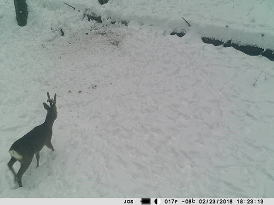 Camera vanatoare PNI Hunting 350C 12MP cu Internet 3G, SMS, transmite foto la miscare pe telefon, email, FTP, full HD 1080P, Night Vision, 58 leduri invizibile pentru animale