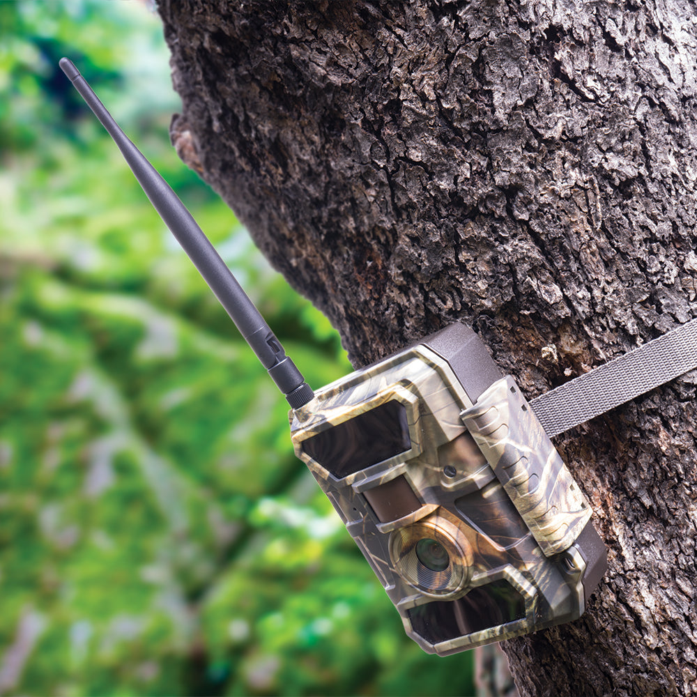 Camera vanatoare PNI Hunting 350C 12MP cu Internet 3G, SMS, transmite foto la miscare pe telefon, email, FTP, full HD 1080P, Night Vision, 58 leduri invizibile pentru animale