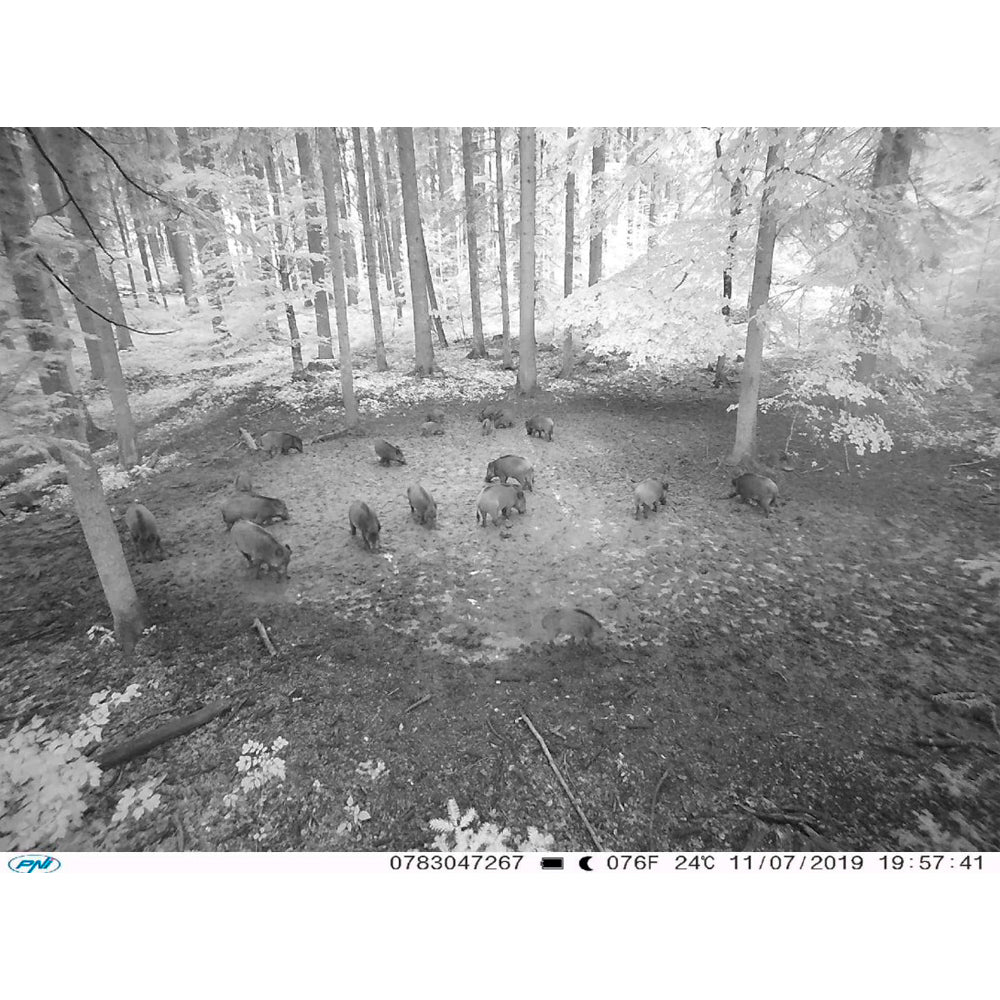 Camera vanatoare PNI Hunting 400C 12MP cu Internet 4G LTE, GPS, transmite simultan video si foto pe telefon, 4 email-uri, FTP, full HD 1080P, Night Vision, 57 LED-uri invizibile pentru animale