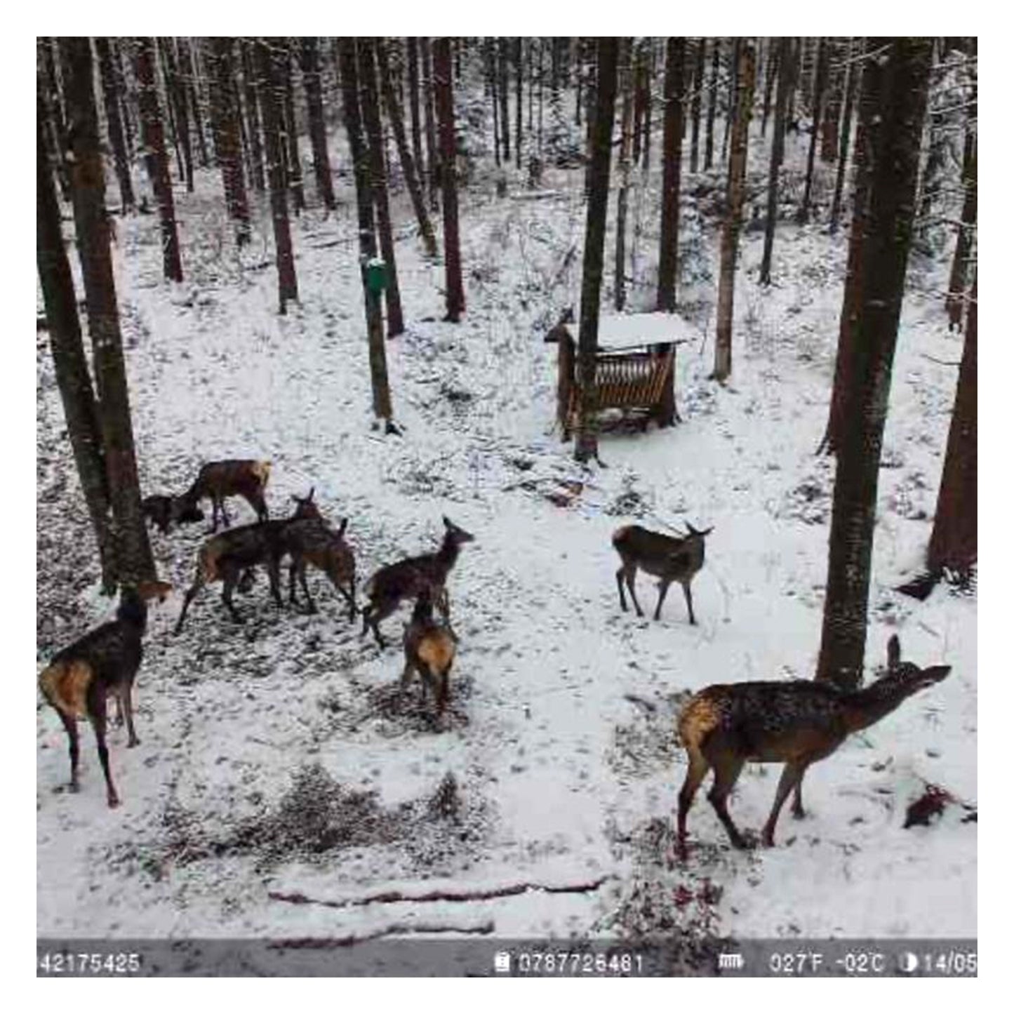 Camera de supraveghere video camuflaj PNI Hunting 751 PRO, 16MP, 4G LTE, GPS, Night Vision, Acumulator, Panou solar, LED-uri invizibile pentru animale, IP66