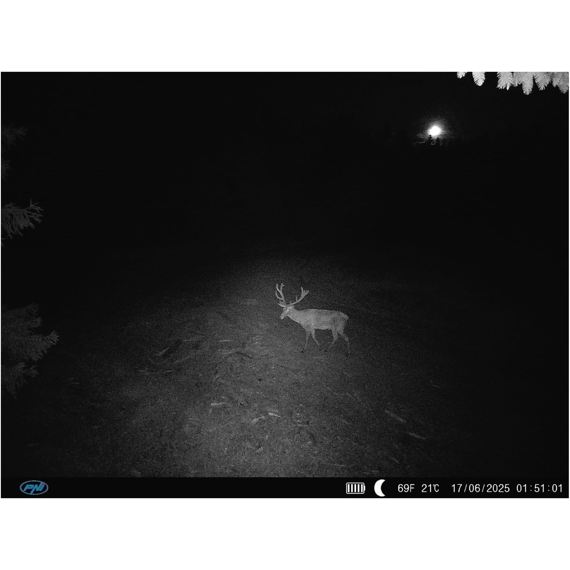 Camera vanatoare PNI Hunting 400C PRO 24MP cu Internet 4G LTE, GPS, transmite simultan video si foto pe telefon, 4 email-uri, FTP, full HD 1080P, Night Vision, 59 LED-uri invizibile pentru animale